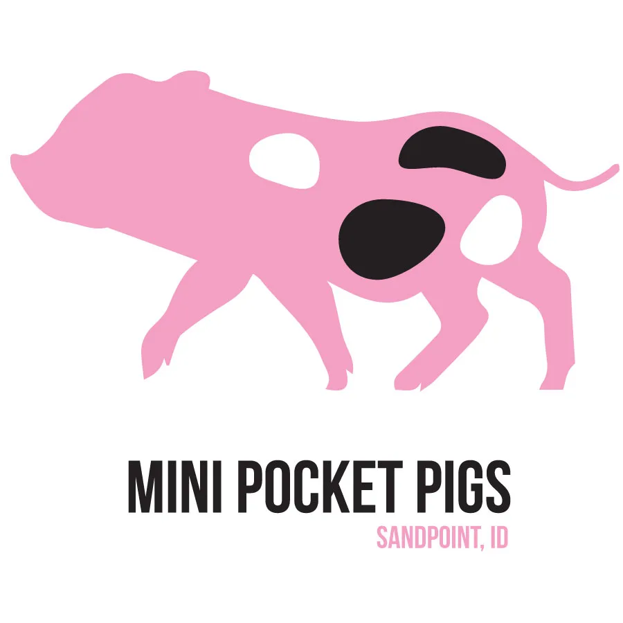 Mini Pocket Pigs